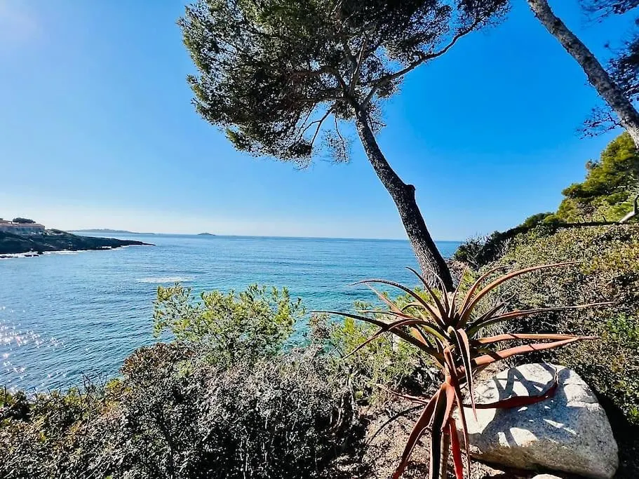 Appartement Sanary Plage - Escapade A Portissol